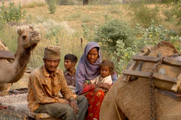 2005 - Maharadjor, Tigrar och Kameler..