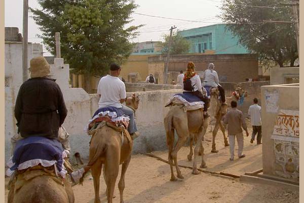 2005 - Maharadjor, Tigrar och Kameler..